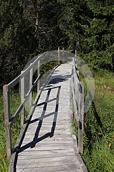 Wooden bridge
