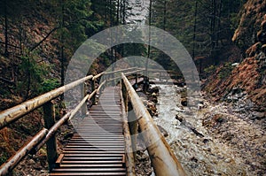 Wooden bridge in Slovak tatra mountain forest