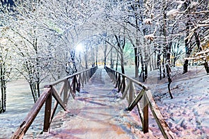 Wooden bridge in a snowy park in the evening