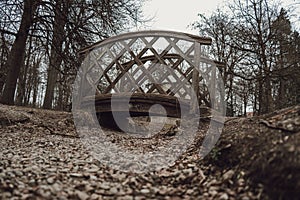 Wooden bridge spans an autumnal forest, with an abundance of fallen leaves covering the ground