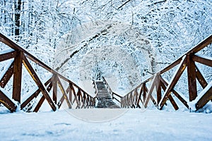 Wooden bridge with a staircase in the winter forest