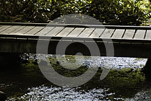 Wooden bridge and stream