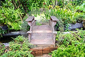 Wooden bridge and stream in garden