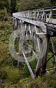 A wooden bridge structure in a forrest at the Humpridge Track in the Southland in the South Island of New Zealand