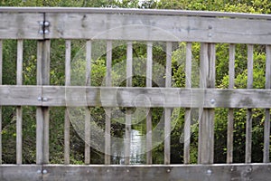 A wooden bridge is surrounded by thick marsh foliage in Egans Creek Greenway