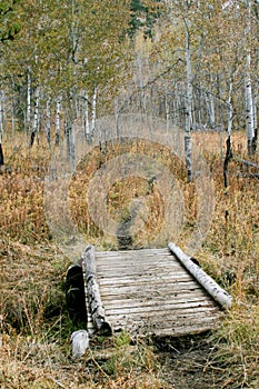 Wooden Bridge and Trail