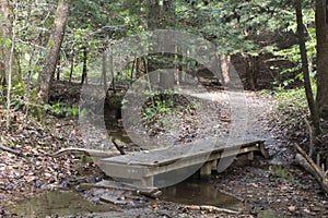 Wooden bridge on trail, Ash Cave, Ohio