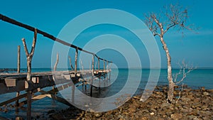 The wooden bridge and a Tree