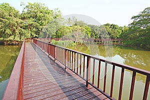 Wooden bridge in tropical forest
