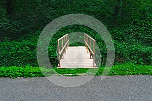 Wooden bridge in tropical rain forest. Walkway