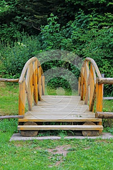 Wooden bridge trough small stream