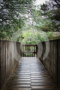 Wooden bridge viewpoint 