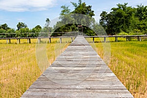 Wooden bridge walkway along