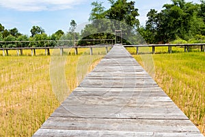 Wooden bridge walkway along