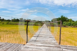 Wooden bridge walkway along