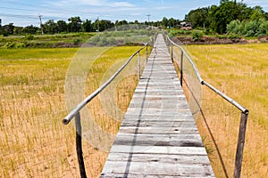 Wooden bridge walkway along