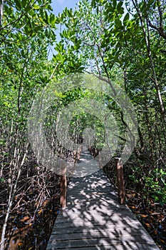 Wooden bridge walkway at Kung krabaen bay Mangrove forest at chanthaburi city