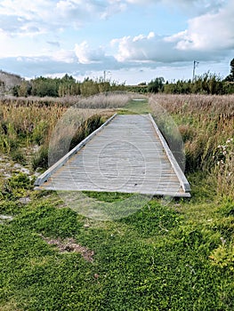 Wooden pedestrianbridge in a provincial park in the wetlands photo