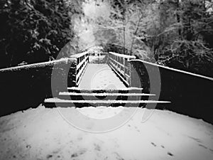 Wooden bridge in winter