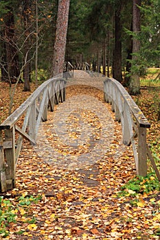 Wooden bridges in an autumn forest photo