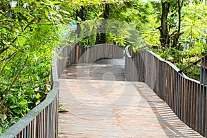 Wooden bridges and trees. In a public park.