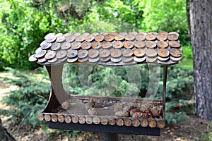 Wooden brown birdhouse, feeding trough installed in the park. Wild bird care, home and food. Bird`s nest in spring