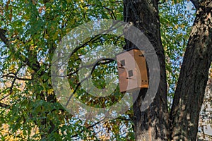 Wooden brown birdhouse on a trunk of a tree in the park. A house for the birds. Bird feeder.