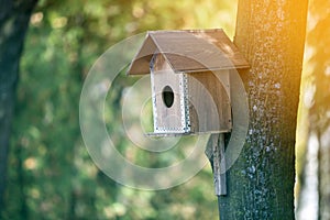 Wooden brown new bird house or nesting box attached to tree trunk in summer park or forest on blurred sunny green foliage bokeh
