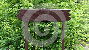 Wooden brown sign on a background of green leaves, bushes and trees in a park or forest. Place for your text or logo,