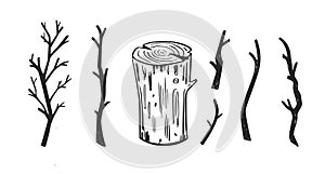 Wooden brunches and forest element of tree. Vector hand drawn