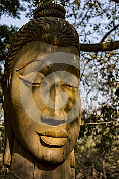 Wooden Buddha Statue with Trees background