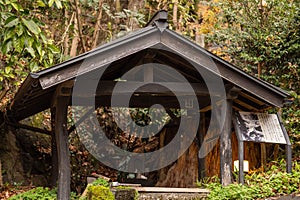 Wooden Buddhist altar in lush green forest