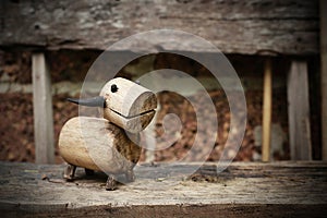 The Wooden Buffalo on woods at the garden