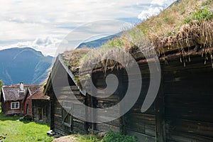 wooden building with grass growing on roof at Flam village Aurlandsfjord