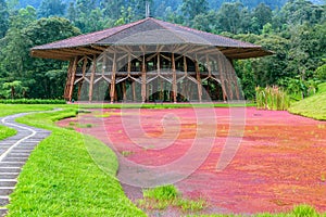 Wooden Building and Red Lake