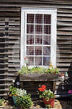 A wooden building with a white window and outdoor flower plants