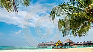 Wooden bungalow on the background of a sandy beach with tall palm trees, Maldives