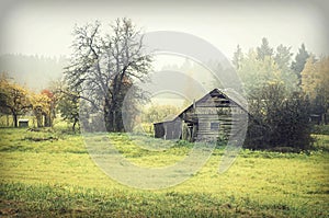 Wooden cabin in countryside