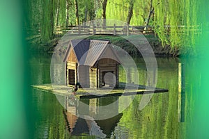 Wooden cabin float on lake water house for birds landscaping object in spring time park outdoor scenic view environment peaceful