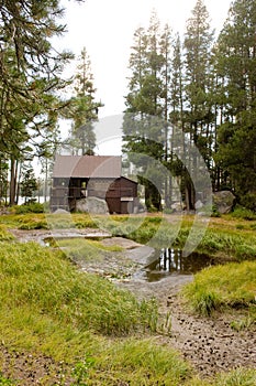 Wooden cabin in forest