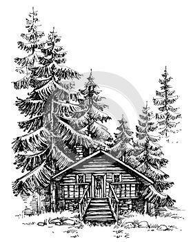 A wooden cabin in the pine forest photo