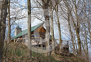 Wooden cabin in spring woods