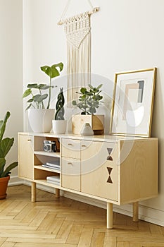 Wooden cabinet decorated with plants, camera and painting on a white wall. Side view