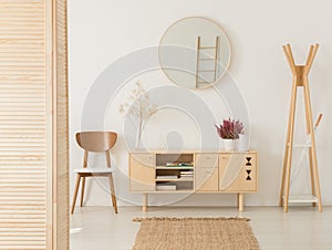 Wooden cabinet with flowers between stylish brown chair and wooden hanger