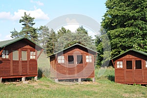 Wooden cabins or lodges as summerhouses in a forest with green grass on a sunny summer day