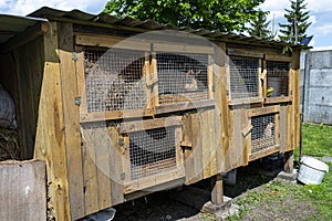 Wooden cage with a metal net on the door for breeding rabbits, standing in the countryside.