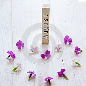 Wooden calendar with August sign and pink flowers on white wooden background