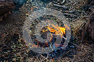 Wooden camp fire in the forest