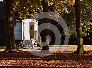 Wooden Caravan Gypsy Style in Autumn Woods