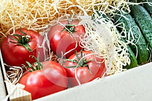 Wooden and cardboard crate box with fresh ripe tasty red tomatoes and green cucumbers with wood shavings filler